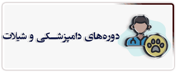 دامپزشکی و شیلات