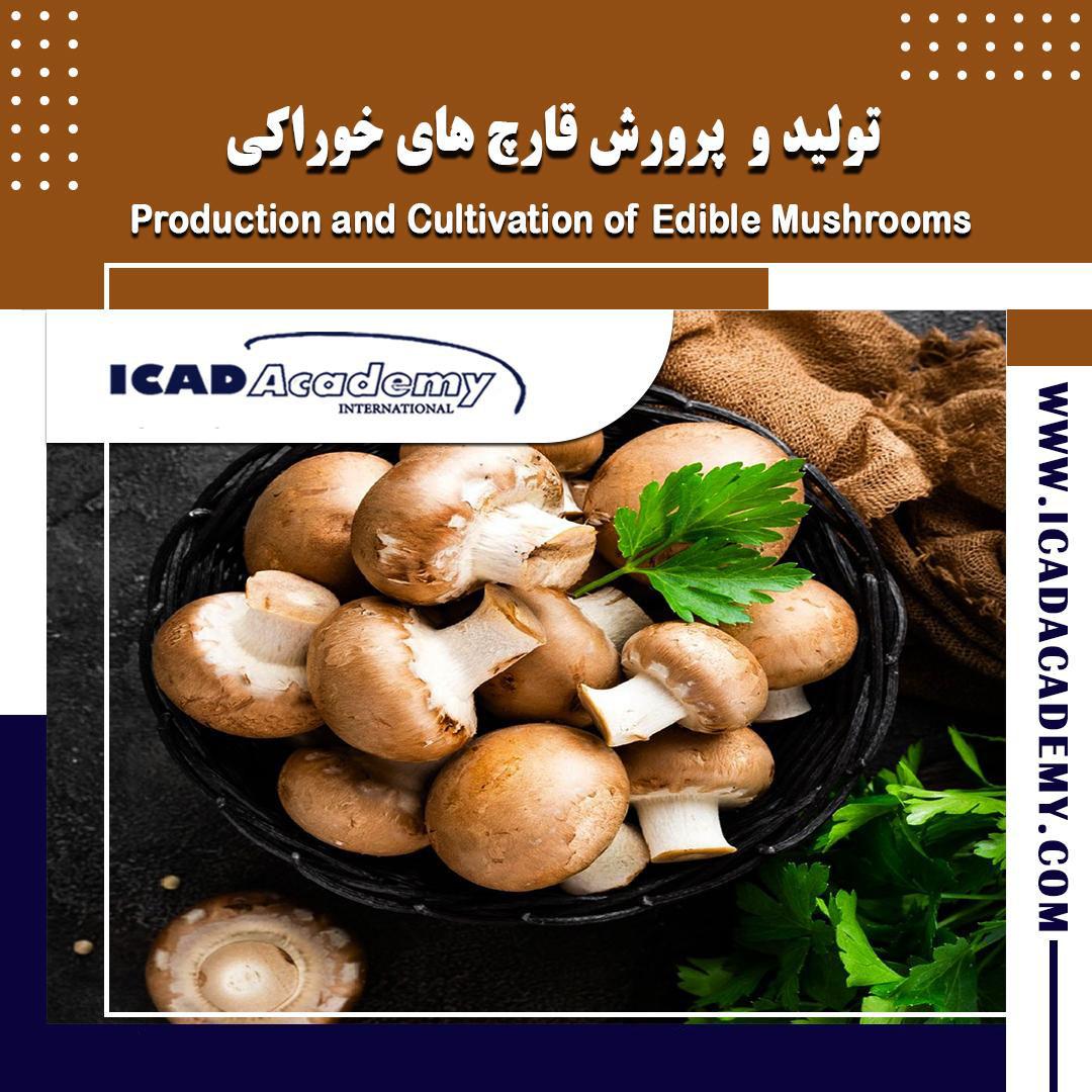 دوره آموزش تولید و پرورش قارچ های خوراکی با گواهینامه های ملی و بین المللی | IRAN-CANADA 