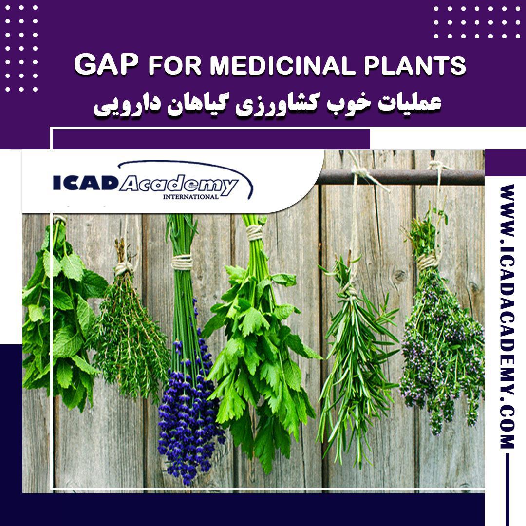 دوره آموزش عملیات خوب کشاورزی گیاهان دارویی | GAP | با گواهینامه های ملی و بین المللی | IRAN-CANADA 