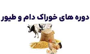 دوره های خوراک دام و طیور