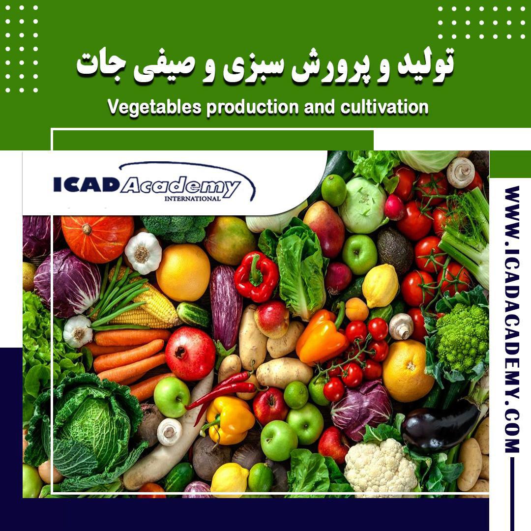 دوره آموزش تولید و پرورش سبزی و صیفی جات با گواهینامه های ملی و بین المللی | IRAN-CANADA