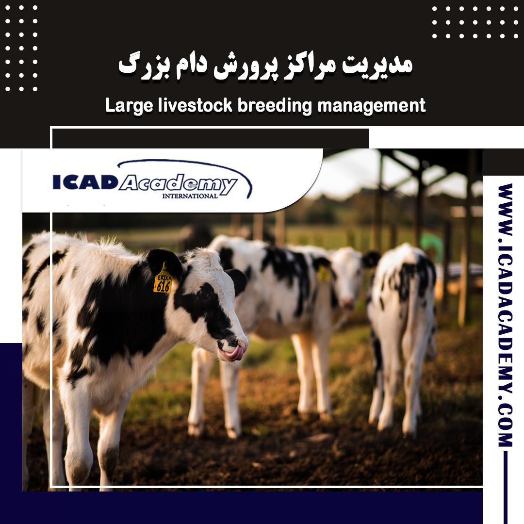 دوره آموزش مدیریت مراکز پرورش دام بزرگ باگواهینامه های ملی و بین المللی | IRAN-CANADA | ICAD ACADEMY