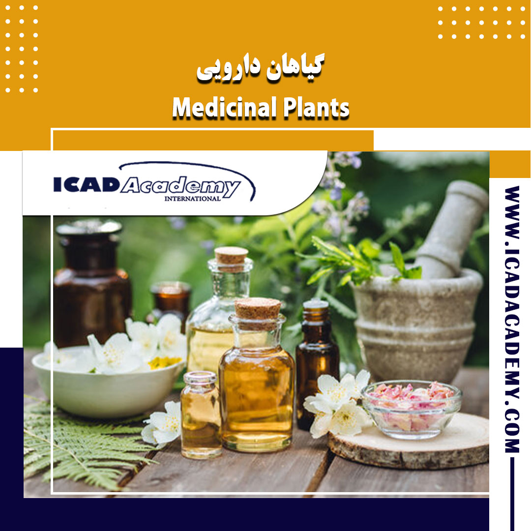 دوره آموزش گیاهان دارویی با گواهینامه های ملی و بین المللی | IRAN-CANADA | ICAD ACADEMY