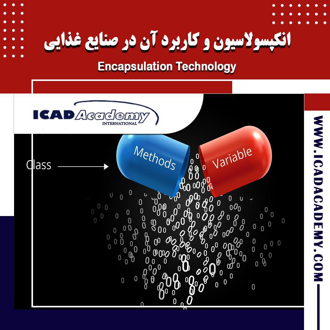 دوره آموزش انکپسولاسیون | دوره ریزپوشانی | با گواهینامه های ملی و بین المللی | IRAN-CANADA 