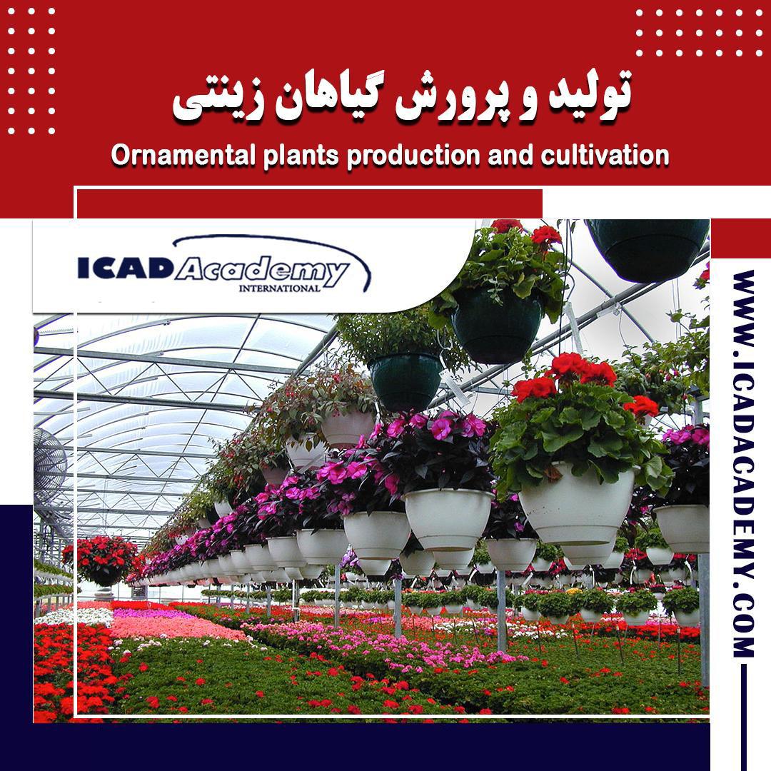 دوره آموزش تولید و پرورش گیاهان زینتی با گواهینامه های ملی و بین المللی | IRAN-CANADA | ICAD ACADEMY
